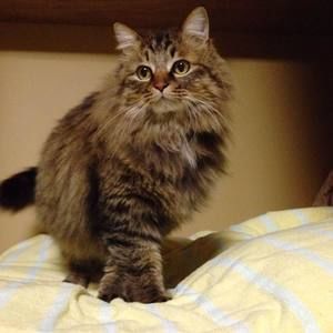 Meet your Posher, Lucy